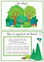 Vorschau - Bildkarten - Der Wald - Informationskartei - Seite 2