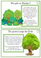 Vorschau - Bildkarten - Der Wald - Informationskartei - Seite 3