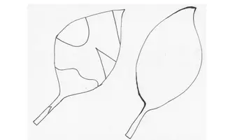 Vorschau - Mal- und Bastelvorlagen - Kunst: Herbstblätter mit Spaltschnitt gestalten - Seite 3