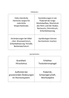Vorschau - Stundenentwürfe - Mystery über Sexualhormone - Seite 2