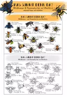 Vorschau - Merkblätter - Übersichtsblätter Wildbienen- und Hummelarten - Deckblatt