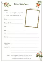 Vorschau - Arbeitsblätter - Meine Waldpflanze - Einen Steckbrief erstellen - Seite 1