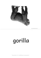 Vorschau - Stationenlernen - animals - flashcards für Übungen und Lernspiele in der Wortschatzarbeit - Englisch Grundschule - Seite 2