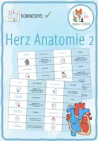 Vorschau - Spiele - Herz Anatomie – großes Domino Spiel - Deckblatt