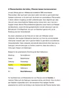 Vorschau - Arbeitsblätter - 8 Pflanzenfamilien - Seite 2