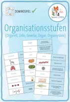 Vorschau - Spiele - Organisationsstufen – Domino Spiel - Deckblatt