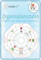 Vorschau - Spiele - Organisationsstufen – Legekreis - Deckblatt