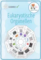 Vorschau - Spiele - Eukaryotische Organellen – Legekreis - Deckblatt