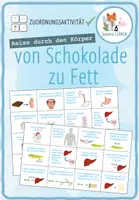 Vorschau - Spiele - Reise durch den Körper - 5x Sortieraktivitäten - Seite 1