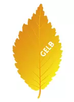 Vorschau - Poster - Herbstblätter zum Dekorieren des Klassenraums - Seite 3