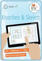 Vorschau - Spiele - Knochen und Skelett – Digitales Puzzle für Computer & iPad - Deckblatt