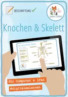 Vorschau - Arbeitsblätter - Knochen und Skelett – Digitale Beschriftungsübung für Computer & iPad - Deckblatt