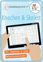 Vorschau - Spiele - Knochen und Skelett – Digitale Zuordnungsaktivität für Computer & iPad - Deckblatt