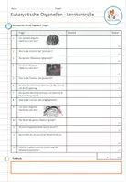 Vorschau - Test - Eukaryotische Organellen - Lernkontrolle - Seite 1