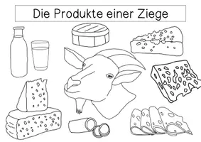 Vorschau - Arbeitsblätter - Übersichtsblatt - Produkte einer Ziege - Seite 3