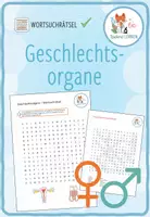 Vorschau - Arbeitsblätter - Geschlechtsorgane – Wortsuchrätsel - Deckblatt