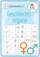 Vorschau - Spiele - Geschlechtsorgane – Zuordnungsaktivität - Deckblatt