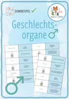 Vorschau - Spiele - Männliche Geschlechtsorgane - Domino Spiel - Deckblatt