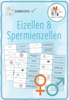 Vorschau - Spiele - Eizellen und Spermienzellen – Domino Spiel - Deckblatt