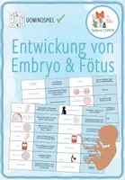 Vorschau - Spiele - Entwicklung von Embryo und Fötus – 3x Aktivitäten und Spiele - Seite 1