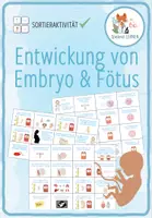 Vorschau - Spiele - Entwicklung von Embryo und Fötus – Sortieraktivität - Deckblatt