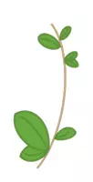 Vorschau - selbst erstellte Cliparts/Grafiken - Koala Clipart Basis Set - Seite 2