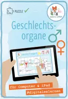 Vorschau - Spiele - Geschlechtsorgane - digitales Puzzle für Computer & iPad - Deckblatt