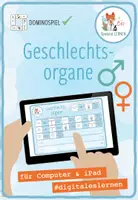 Vorschau - Spiele - Geschlechtsorgane - digitales Domino Spiel für Computer & iPad - Deckblatt