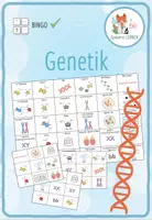 Vorschau - Spiele - Genetik - Bingo - Deckblatt