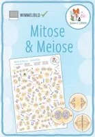 Vorschau - Arbeitsblätter - Mitose und Meiose – Wimmelbild Rätsel - Deckblatt