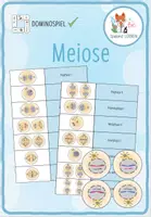 Vorschau - Spiele - Meiose - Domino Spiel (klein) - Deckblatt
