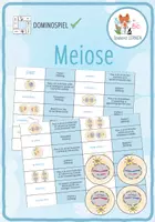 Vorschau - Spiele - Meiose - Domino Spiel (groß) - Deckblatt