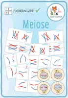 Vorschau - Spiele - Variabilität in der Meiose - Sortieraktivität - Deckblatt