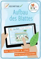 Vorschau - Spiele - Aufbau des Blattes – Digitale Beschriftungsübung für Computer & iPad - Deckblatt