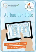 Vorschau - Spiele - Aufbau der Blüte– digitales Domino Spiel für Computer & iPad - Deckblatt
