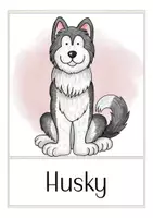 Vorschau - Poster - Spanisch Bildkarten perros (Hunde) - Seite 3