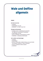 Vorschau - Arbeitsblätter - Wale und Delfine in der Straße von Gibraltar - Seite 3