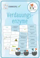 Vorschau - Spiele - Verdauungsenzyme – Domino Spiel - Deckblatt