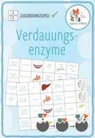 Vorschau - Spiele - Verdauungsenzyme – Zuordnungsaktivität / Paare Finden Spiel - Deckblatt