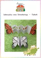 Vorschau - Arbeitsblätter - Schmetterling: Lebenszyklus Sparpaket (Tafelmaterial & Basteln) - Sachunterricht - Kl. 2-4 - Seite 1