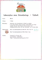 Vorschau - Arbeitsblätter - Schmetterling: Lebenszyklus Sparpaket (Tafelmaterial & Basteln) - Sachunterricht - Kl. 2-4 - Seite 2