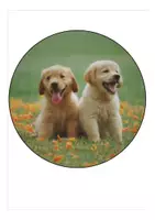 Vorschau - Mal- und Bastelvorlagen - Wimpel / Girlande Schulanfang Hundeklasse - Seite 3