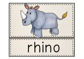 Vorschau - Bildkarten - WILD ANIMALS Flashcards + mini-Flashcards Bildkarten Wortkarten - Seite 3