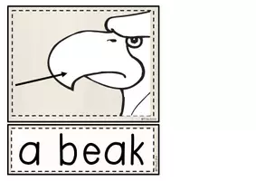 Vorschau - Bildkarten - WILD ANIMALS -Flashcards: Parts of the Body - Bodyparts - Körperteile - Seite 3