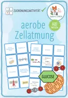 Vorschau - Spiele - Dissimilation: aerobe Zellatmung – Zuordnungsaktivität (Abitur) - Deckblatt