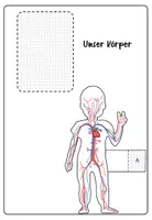 Vorschau - Arbeitsblätter - Unser Körper (Blutkreislauf, Skelett & Verdauungssystem) - Seite 2