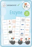 Vorschau - Spiele - Enzyme - Zuordnungsaktivität / Paare Finden Spiel (Abitur) - Deckblatt