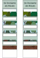 Vorschau - Arbeitsblätter - WALD - Materialpaket - Seite 3