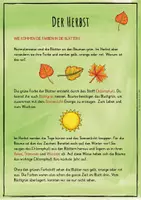 Vorschau - Stundenentwürfe - Im Herbst - Lernwerkstatt Blattfarben - Seite 2