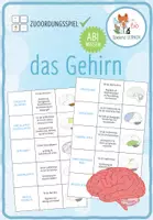 Vorschau - Stationenlernen - Das Gehirn –Zuordnungsaktivität / Paare Finden Spiel (Abitur) - Deckblatt